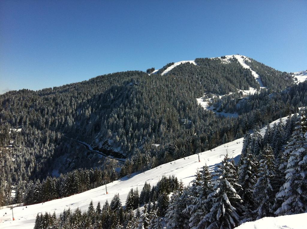 Apartment Le Clos Des Gentianes Allevard