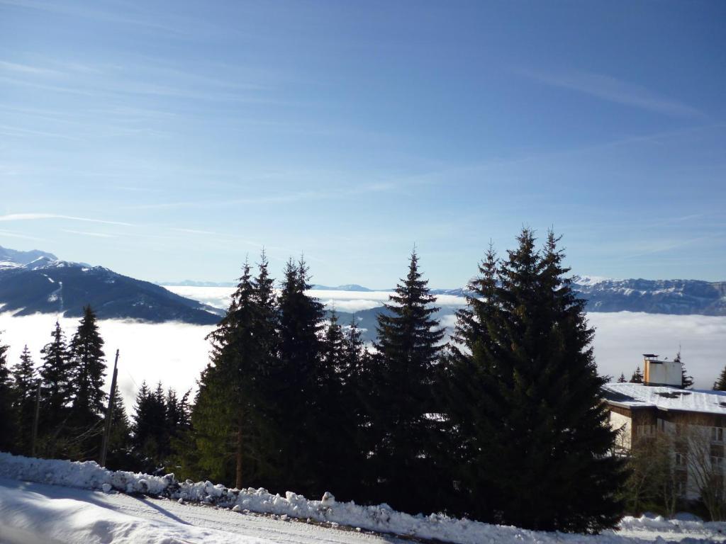 Apartment Le Clos Des Gentianes *